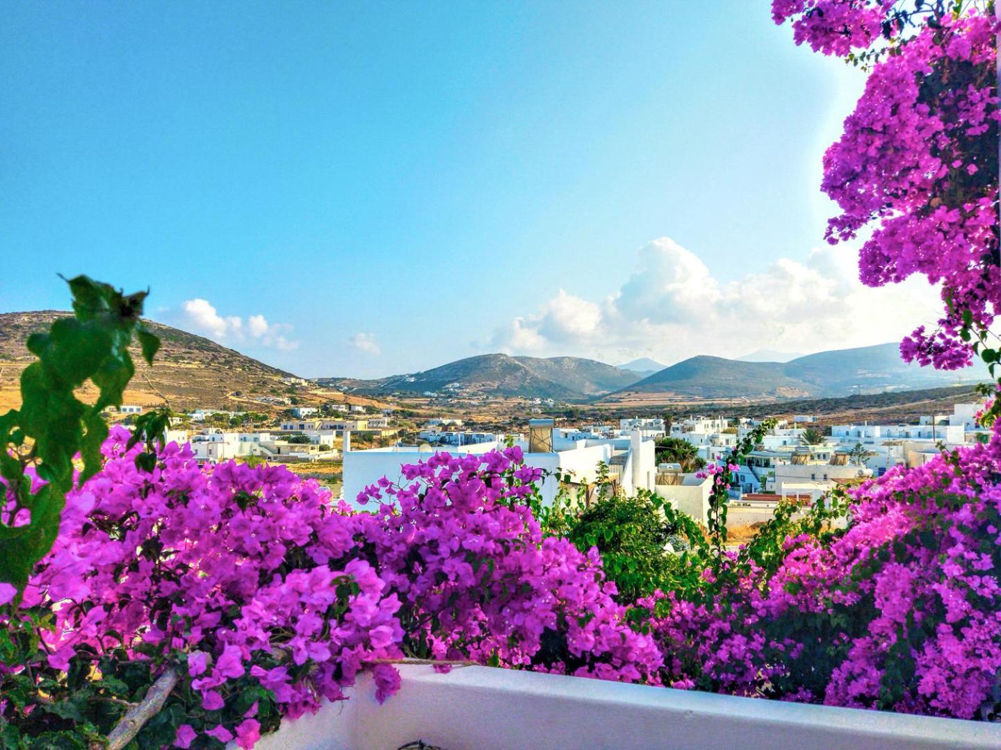 Kefalas In Naousa (Paros)